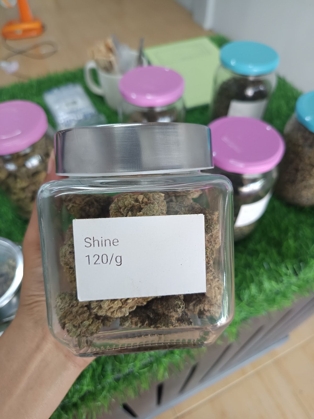 Turtles Cannabis