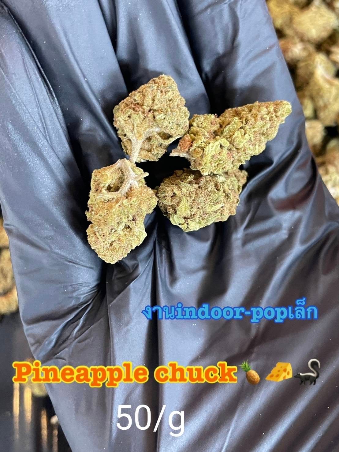 Catnabis Weedroom