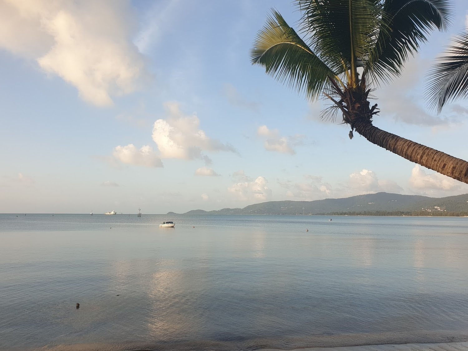 Jone Klam Beach Cannabis Farm