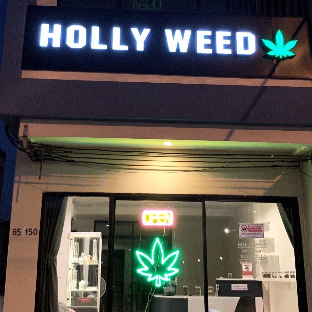 Holly Weed