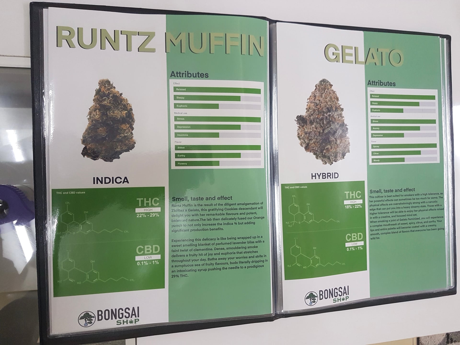 Bongsai Shop: Medical