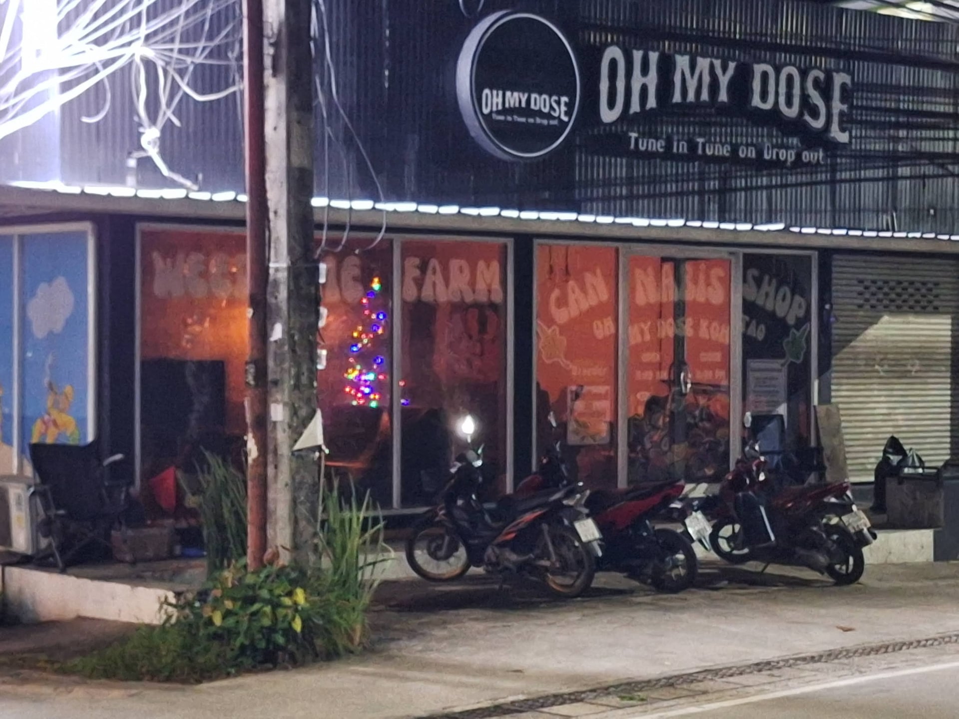 Oh My Dose Koh Tao