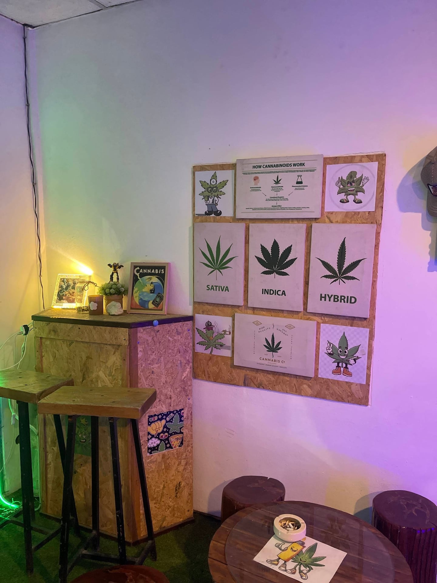 Cannabls Shop &Mc Moilephon Repair