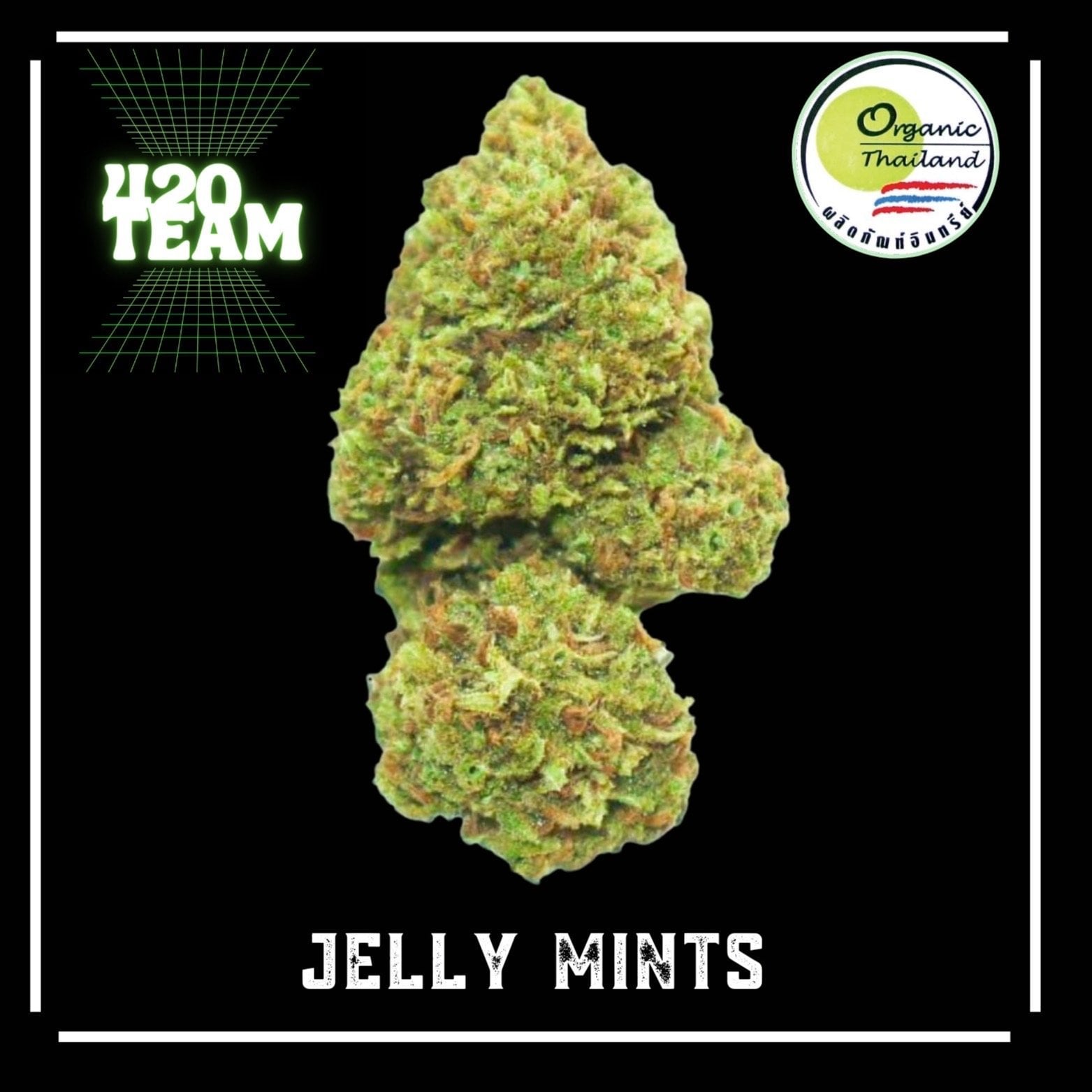 Organic - By.420 Team