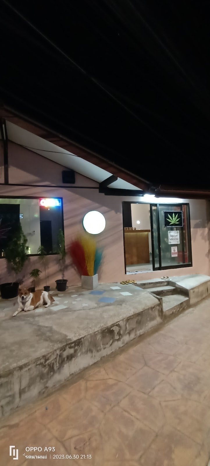 Samui Happy Cannabis Shop1