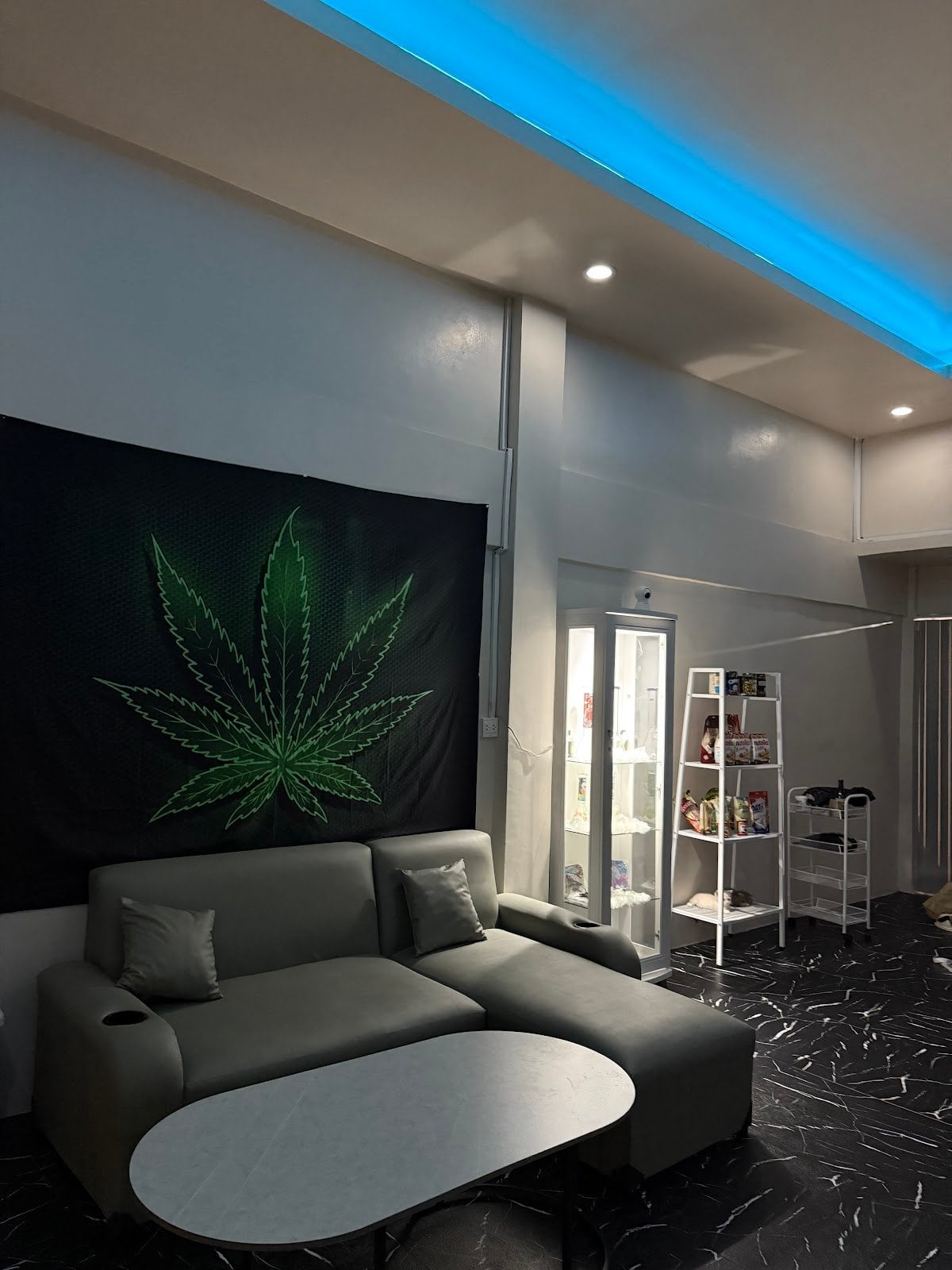 THCDM Weed Shop&Drinks