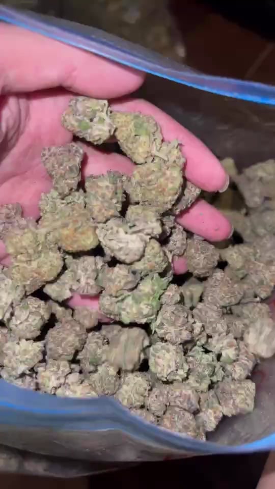 Sweedcannabis