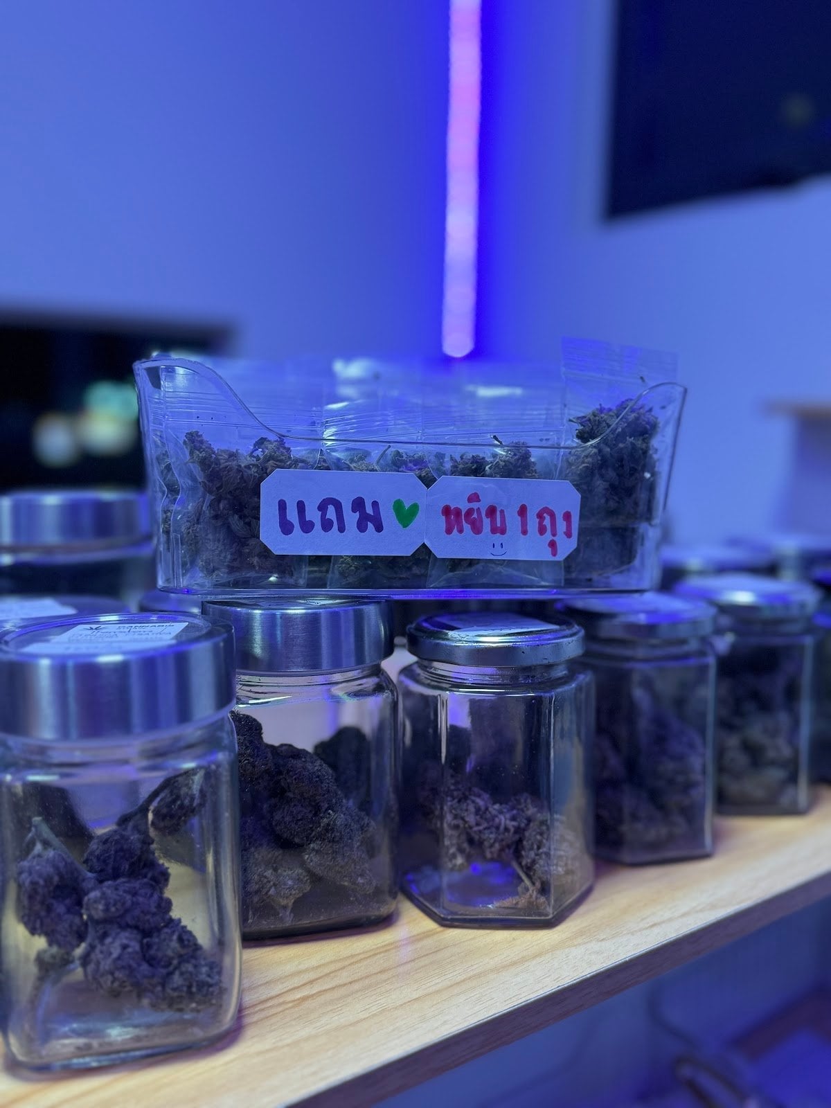 Langsuan Cannabis420