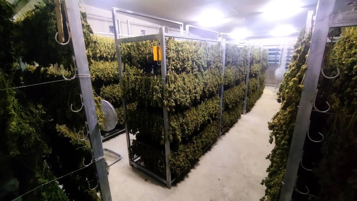 Family Farm