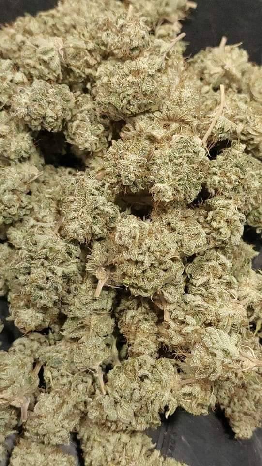 Cannabis Genius Space