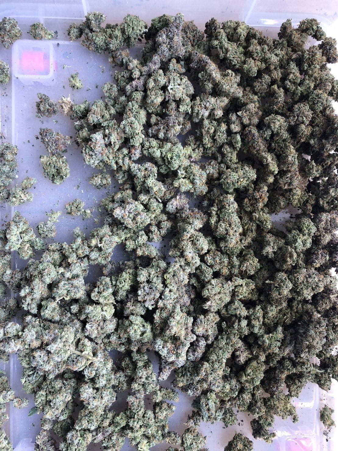 Mali Cannabis House