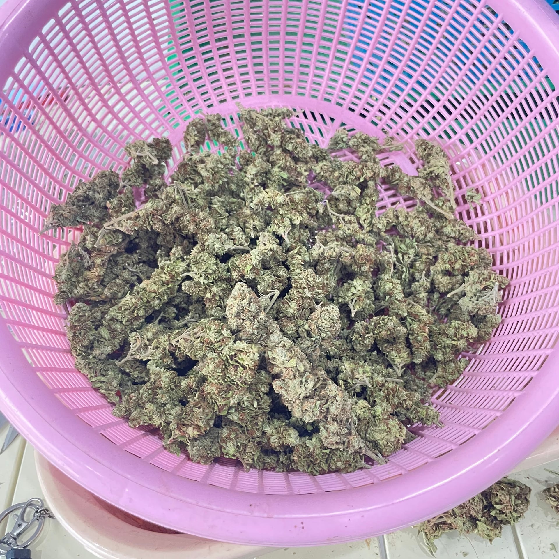 Fa Farm Cannabis