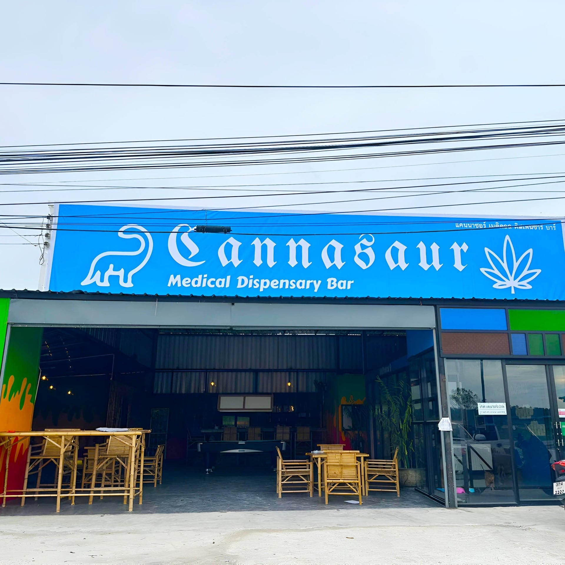 Cannasaur