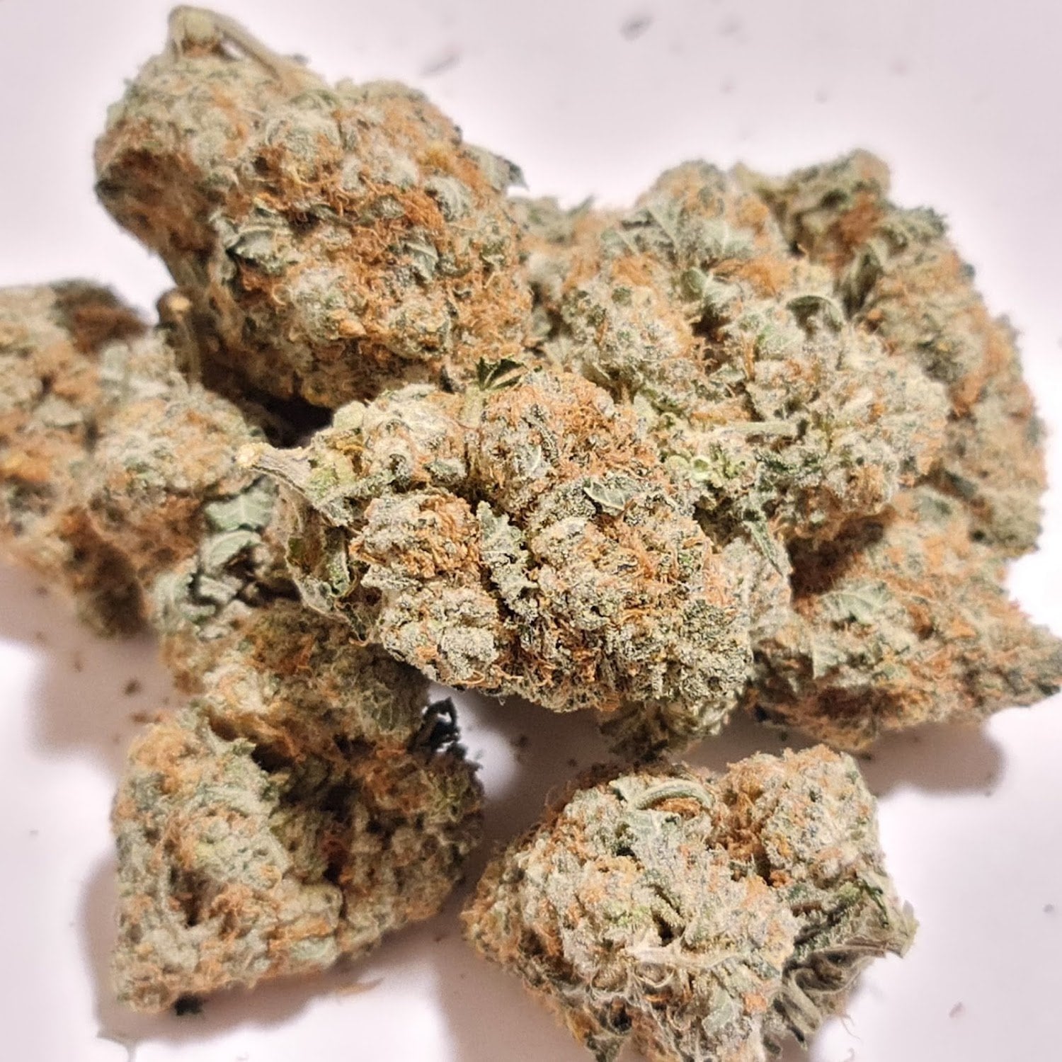 Lamai Weed Store Samui Cannabis