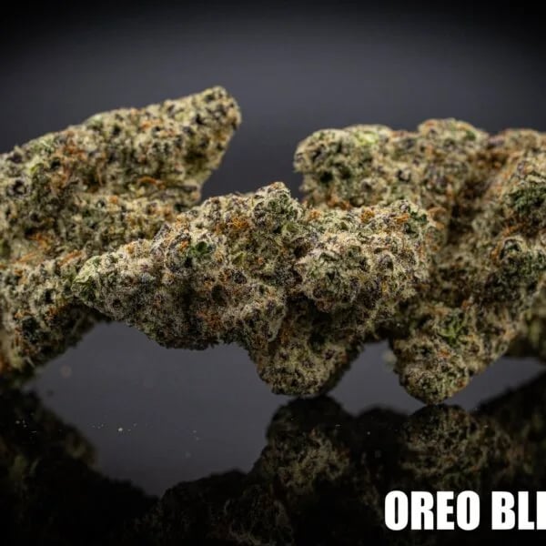Cannabear