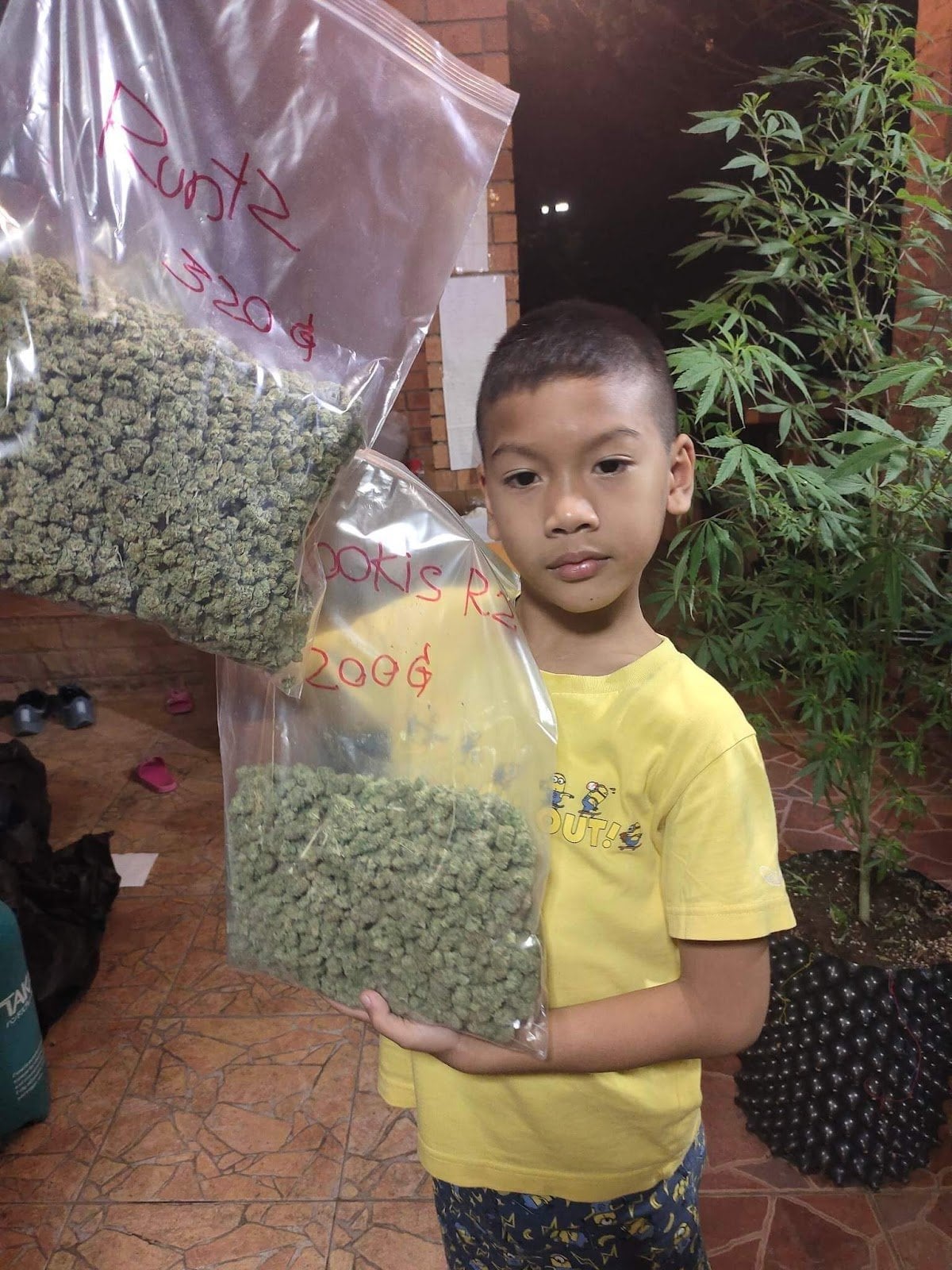 Rolling High Cannabis