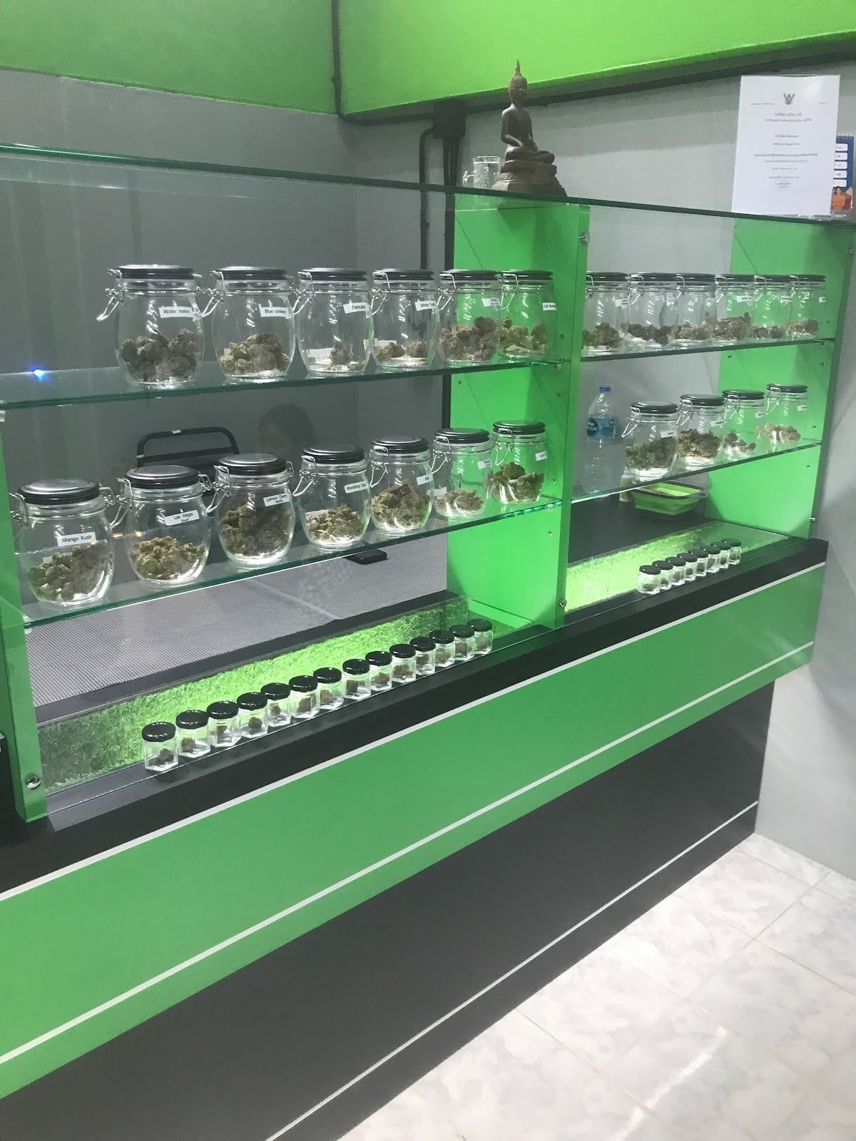Cannabis Center Koh Phangan