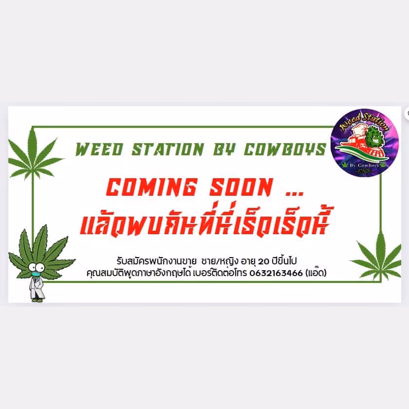 Cannabis Social Club Weed Station in Chiang Mai logo