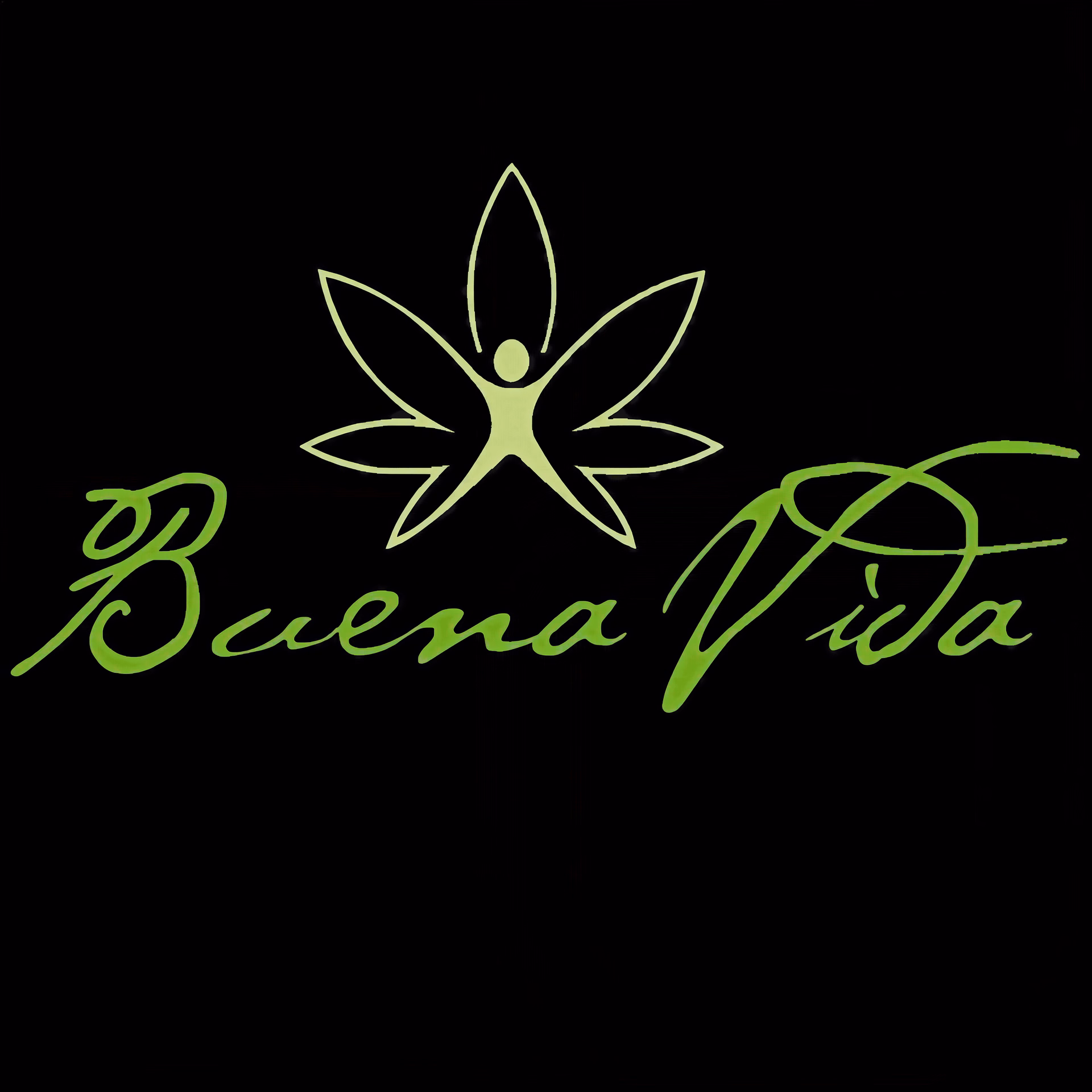 Buena Vida CSC logo