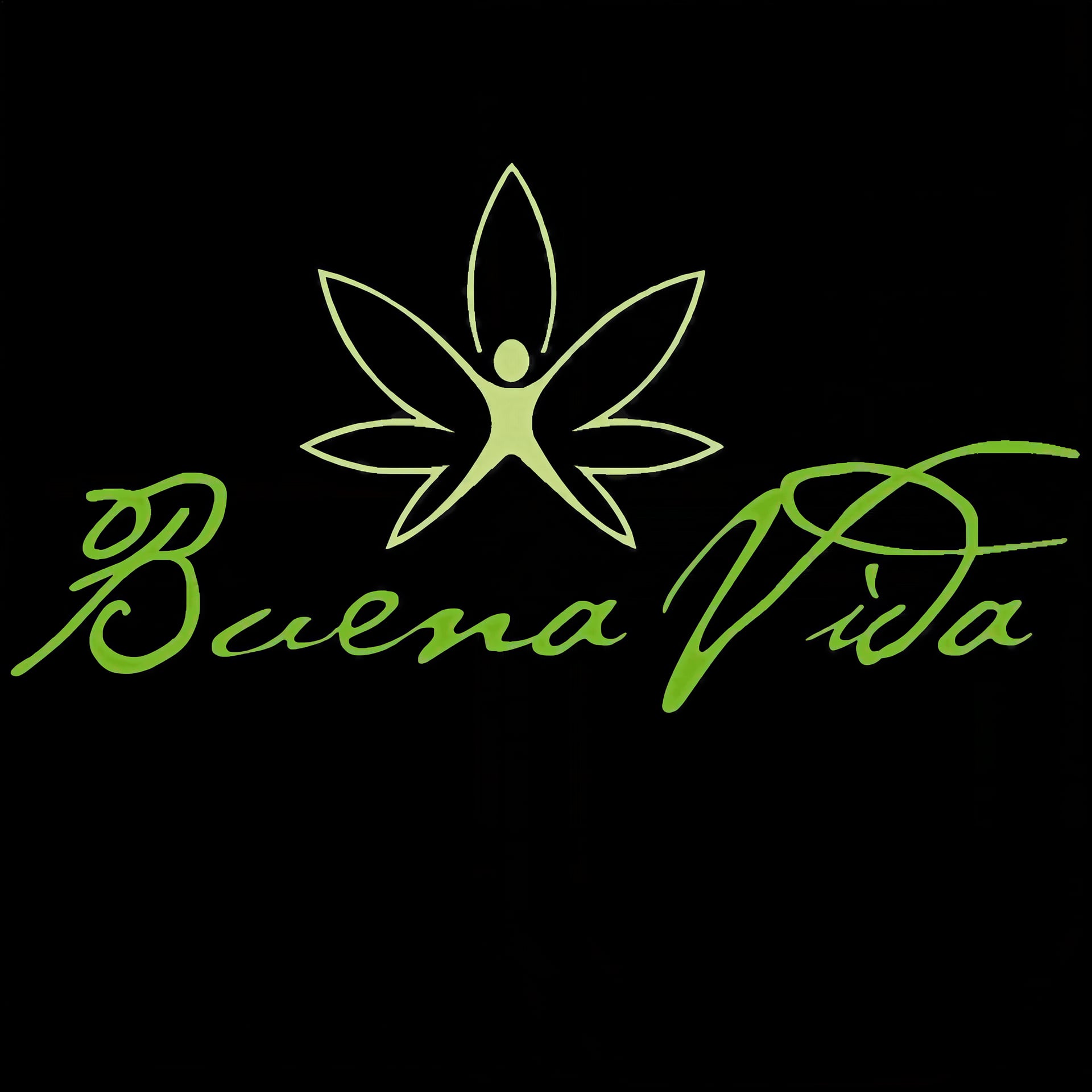 Buena Vida CSC logo