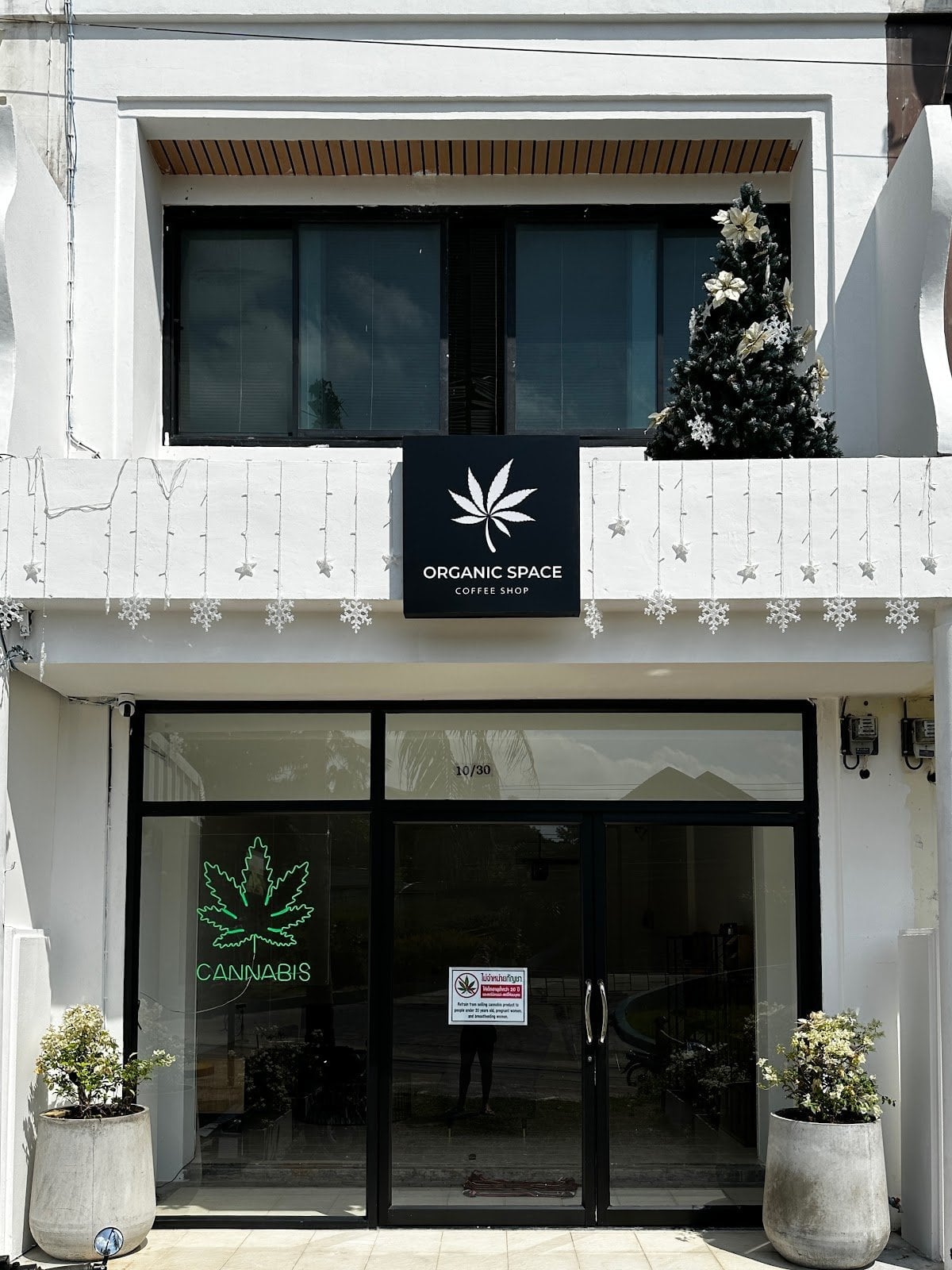 Narcos Samui