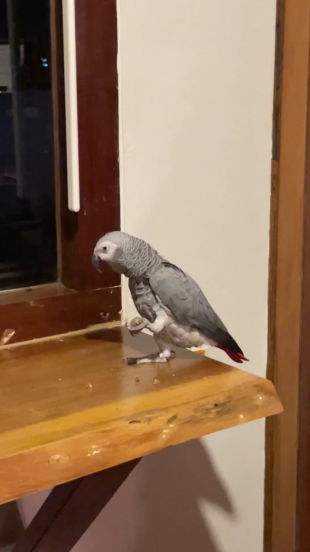 The Happy Corner