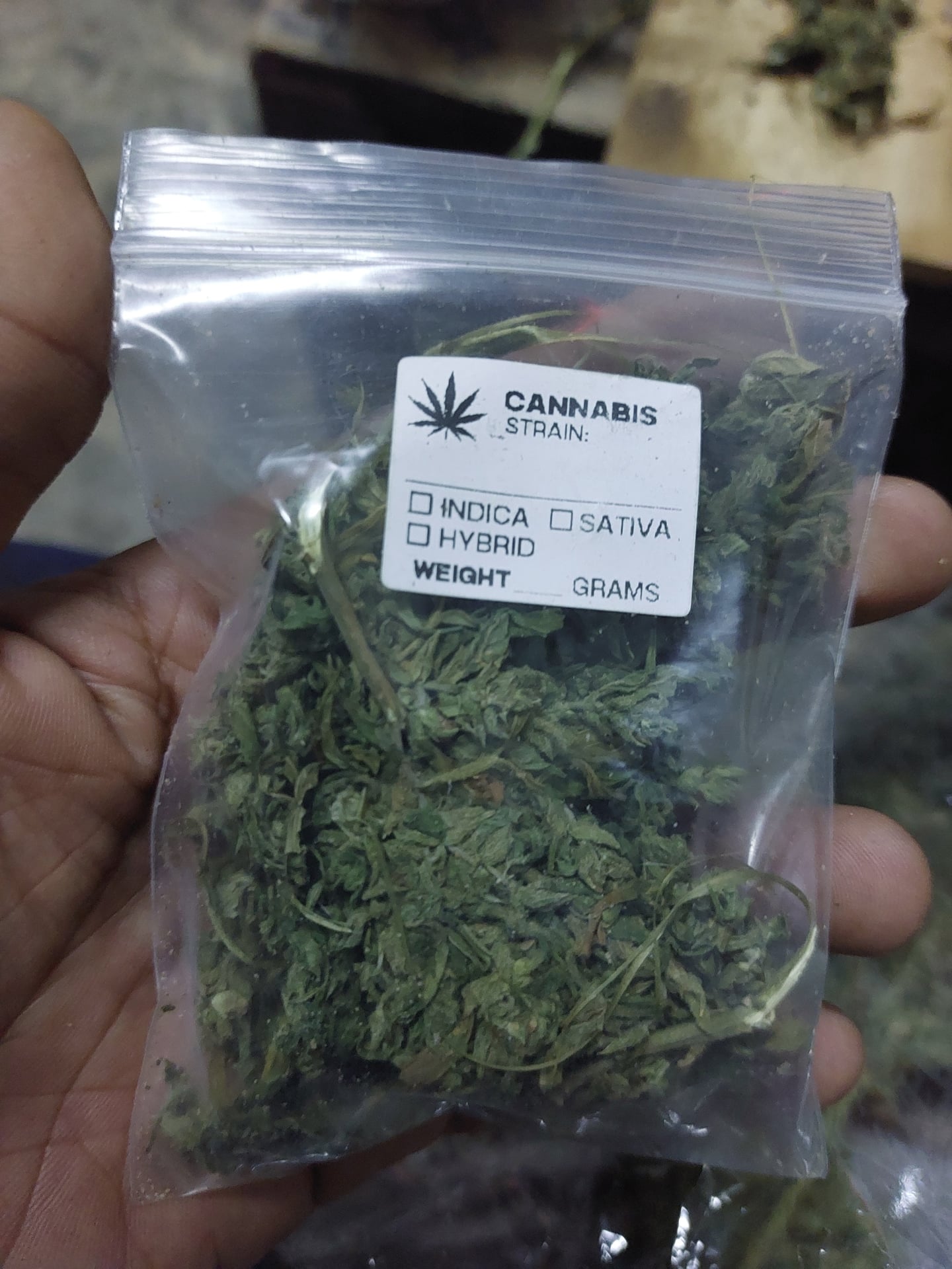 OG Cozy Cannabis