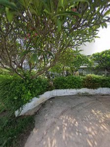Canabis Corner