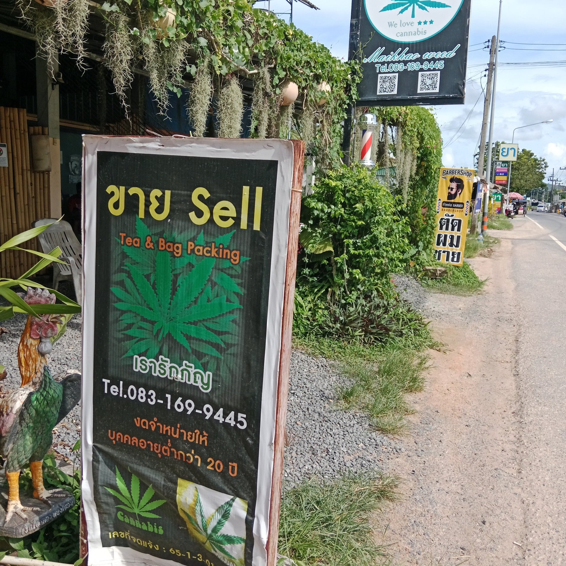 We Love Cannabis Maikhao Weed