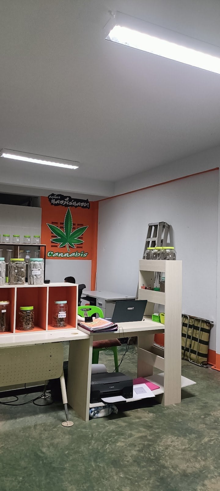 Mhopuech Cannabis