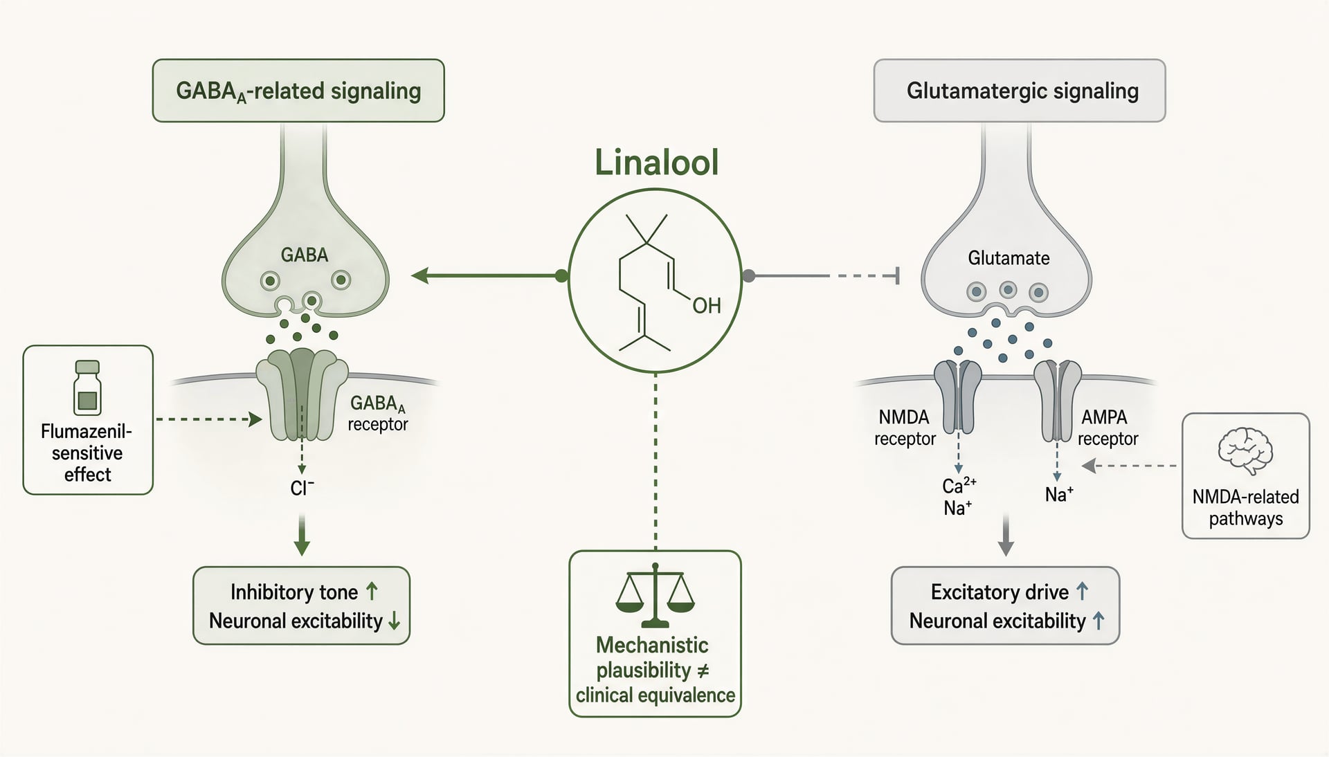 Diagram linking linalool to GABA_A-related and glutamatergic pathways with cautionary labels