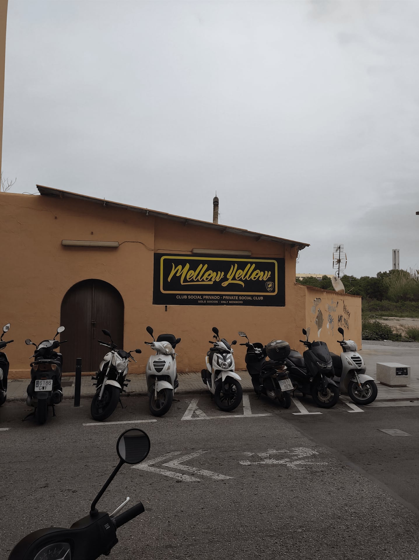 Mellow Yellow
