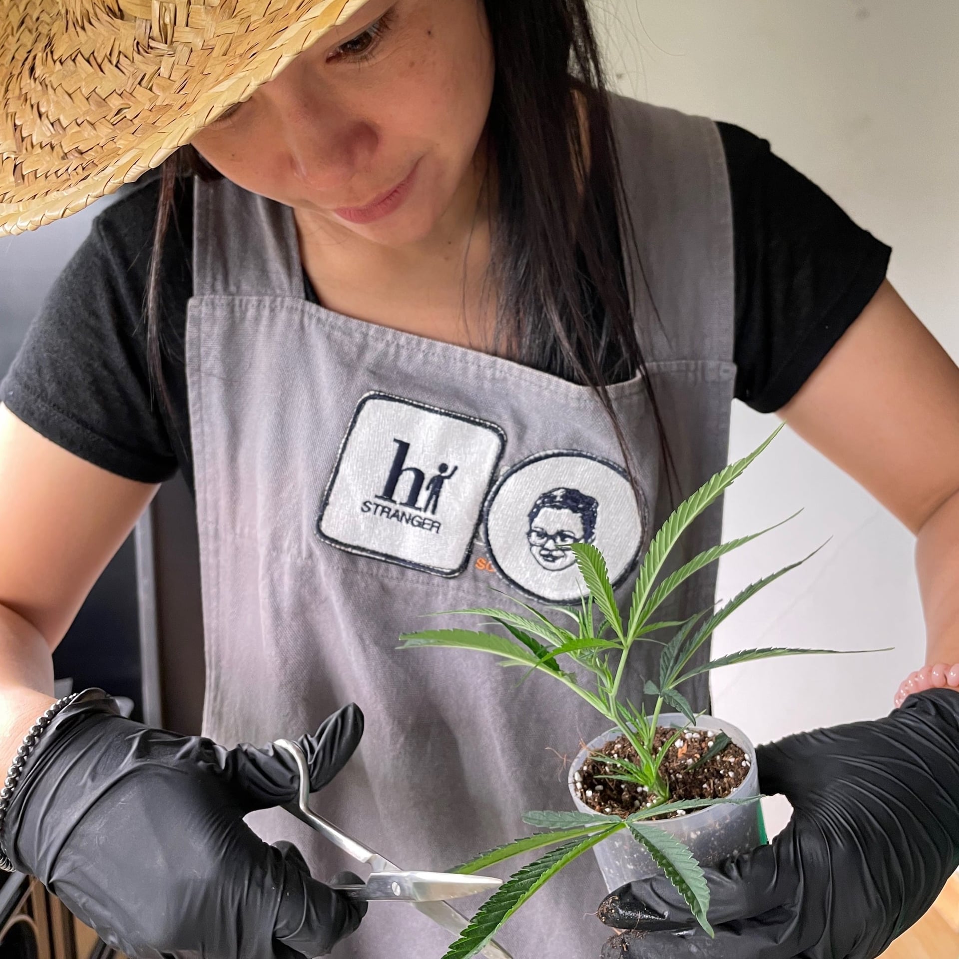 Hi Grower