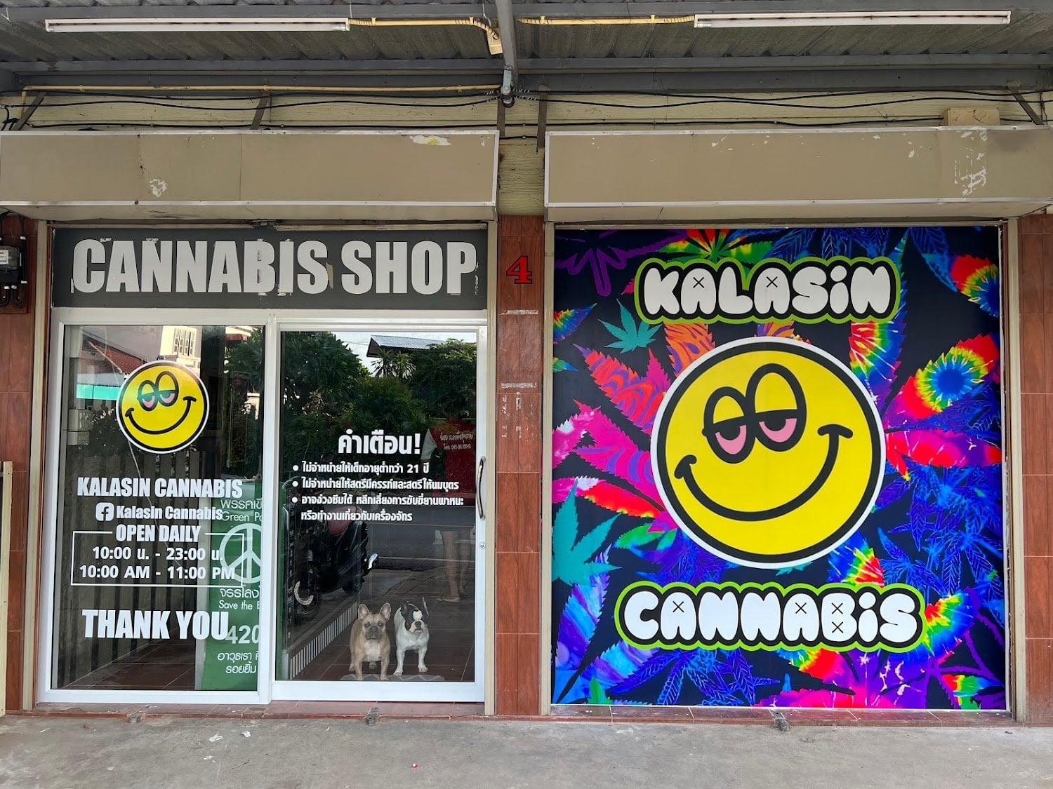 Kalasin Cannabis