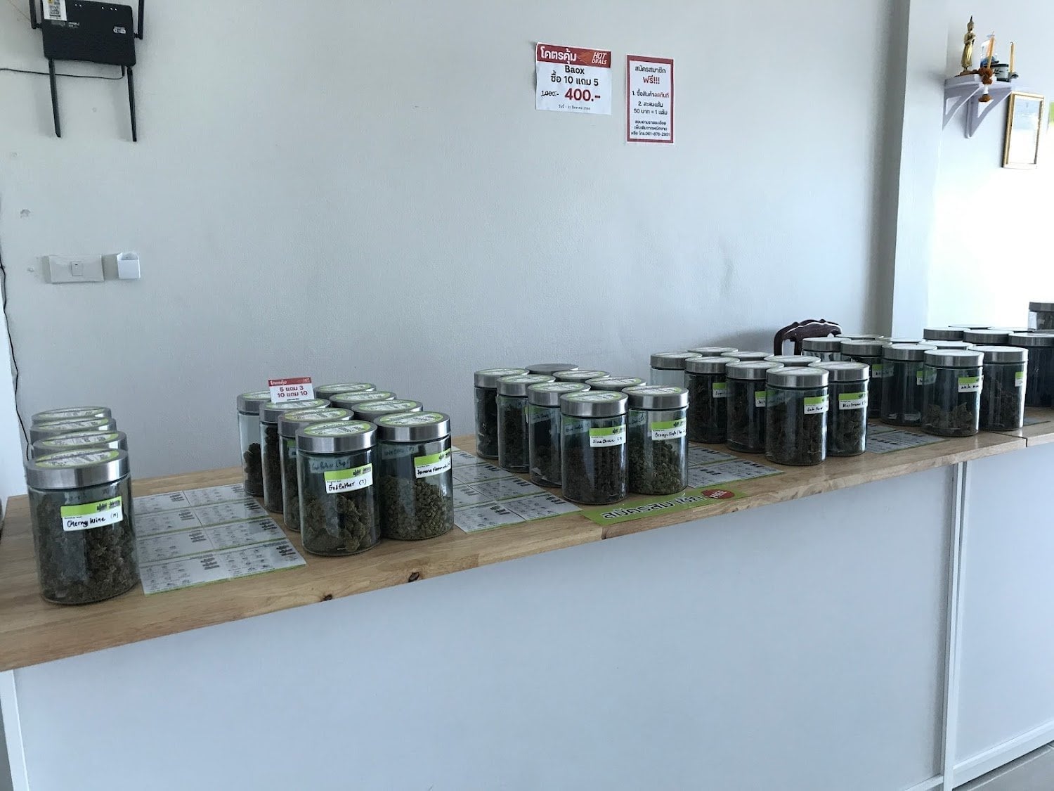 Weed Kingdom