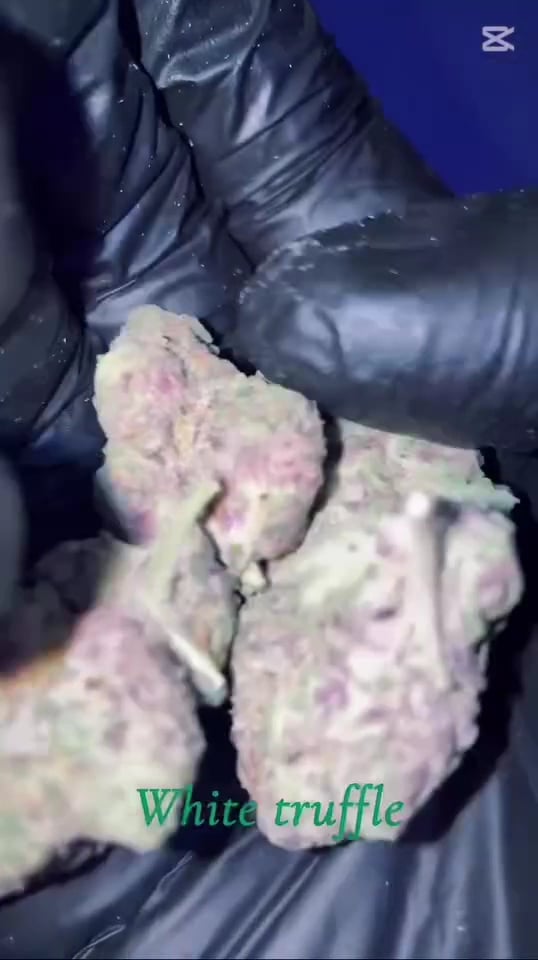 The Sniffer Boy Cannabis