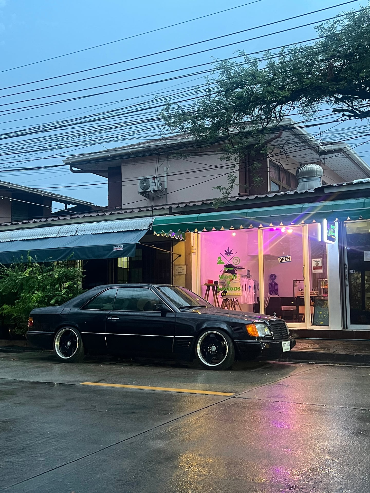WEED-A-LICIOUS X SKATE SHOP RAMA IX