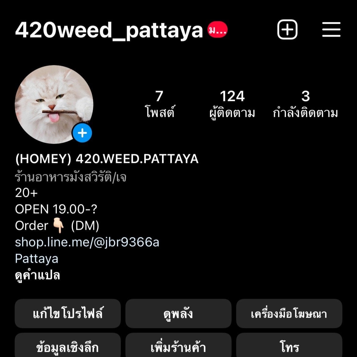 420Weed.homey'pattaya logo