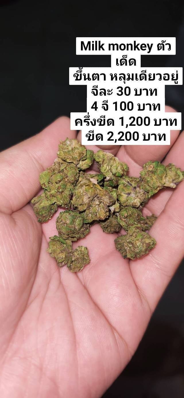 Bigbear Cannabis