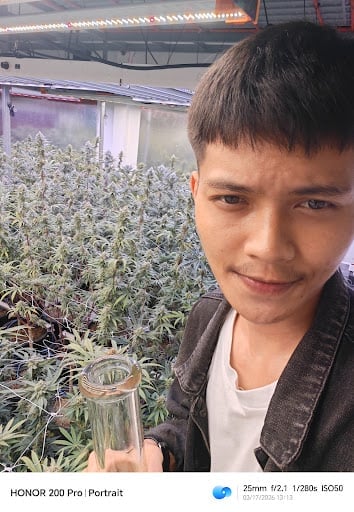 OH MY DOSE Cannabis Marijuana Ganja