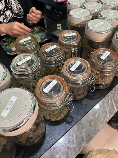 Adam's Weed