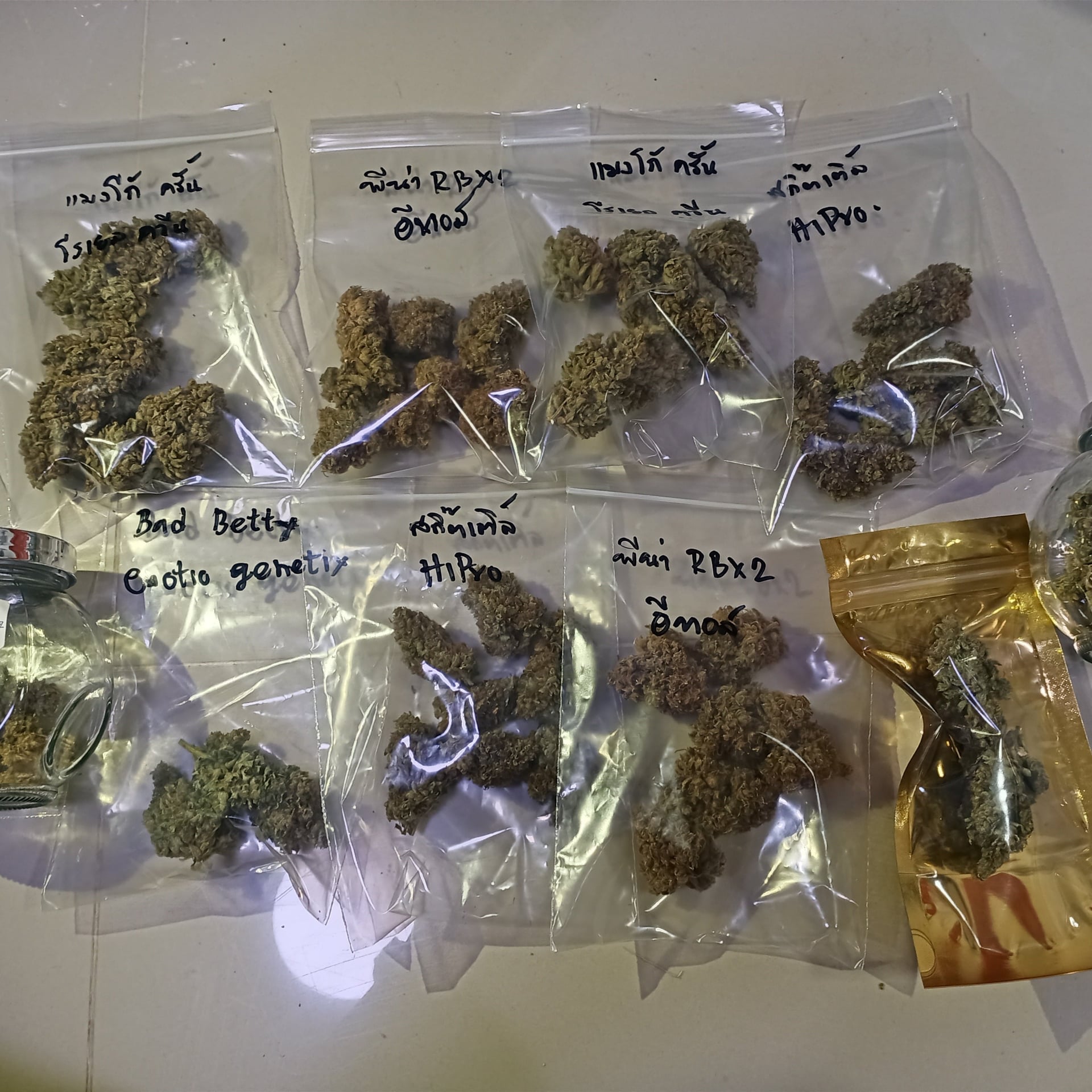 Mr.Weed168Cannabis