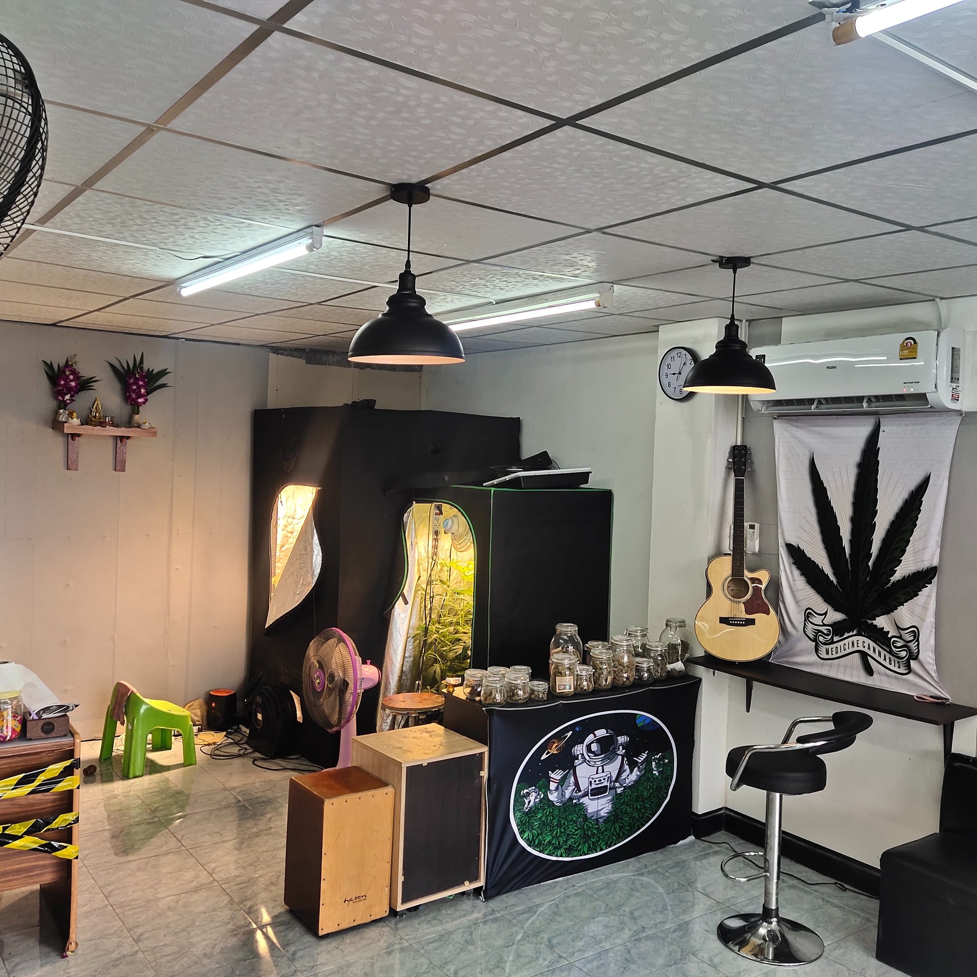 Magic Cannabis