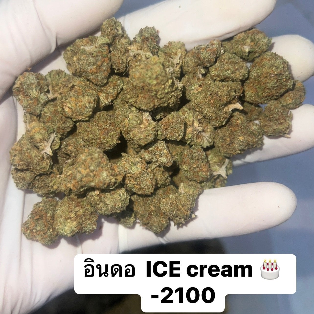JABB420 Cannabis