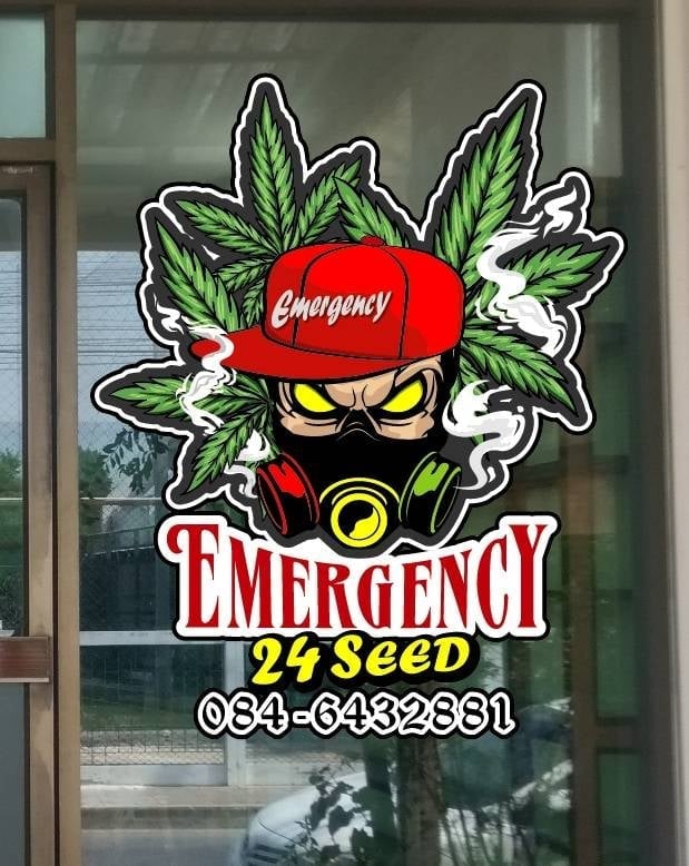 Emergency 24Seed