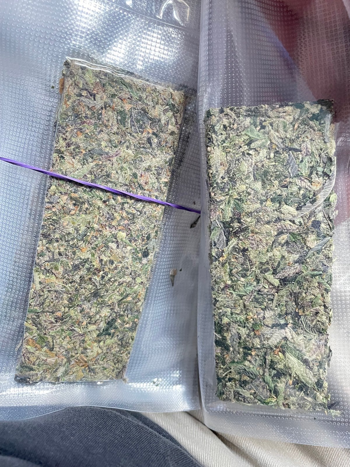 The Blusir Cannabis