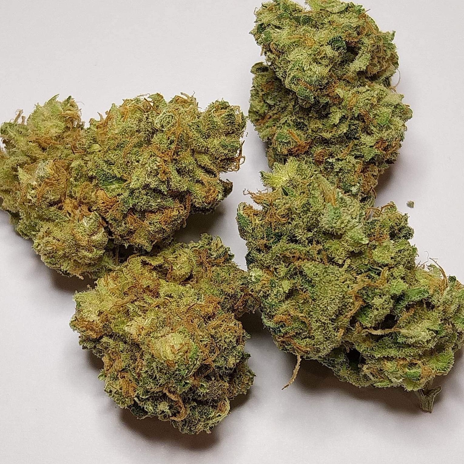 Kush Paradise