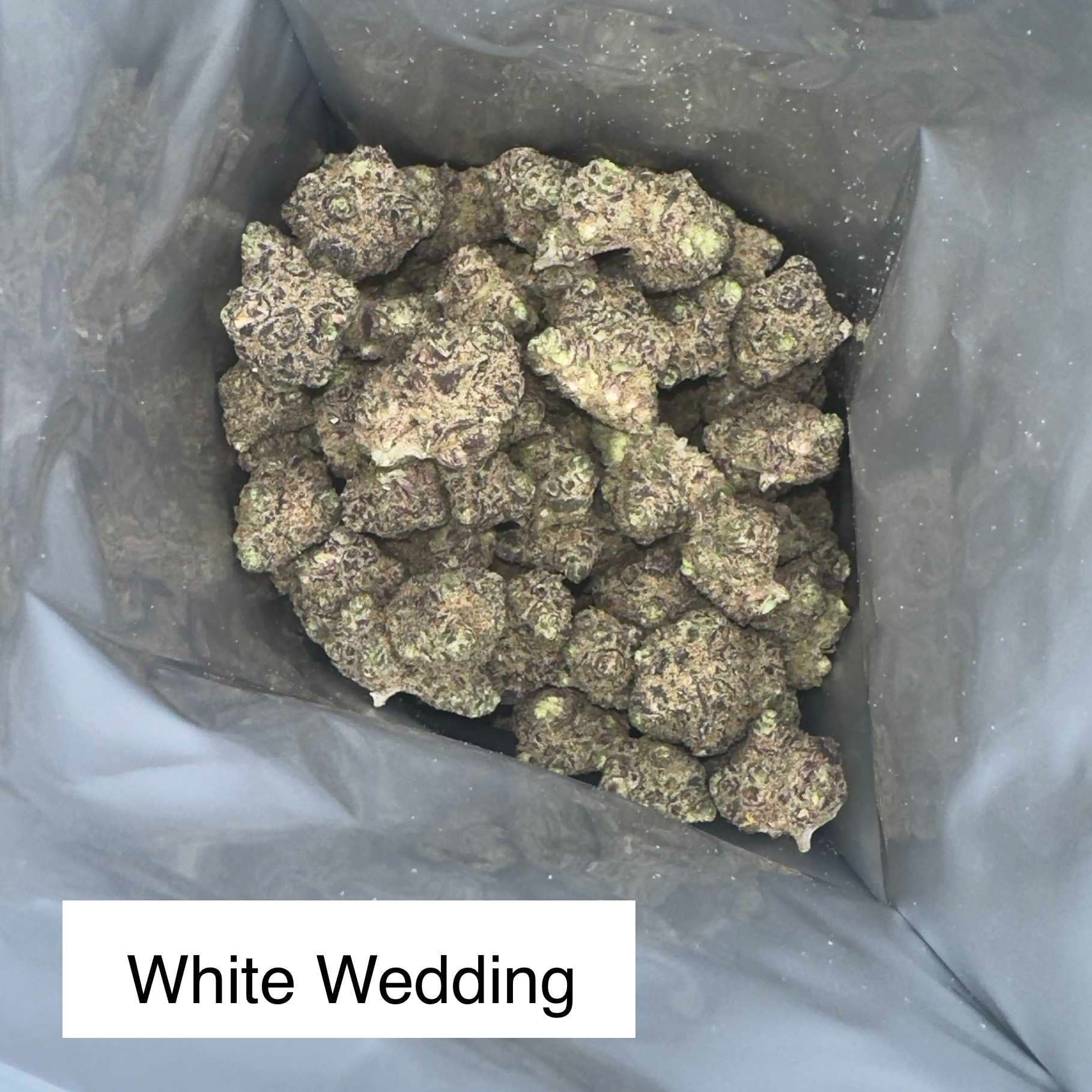 Cannabis Hut Phuket