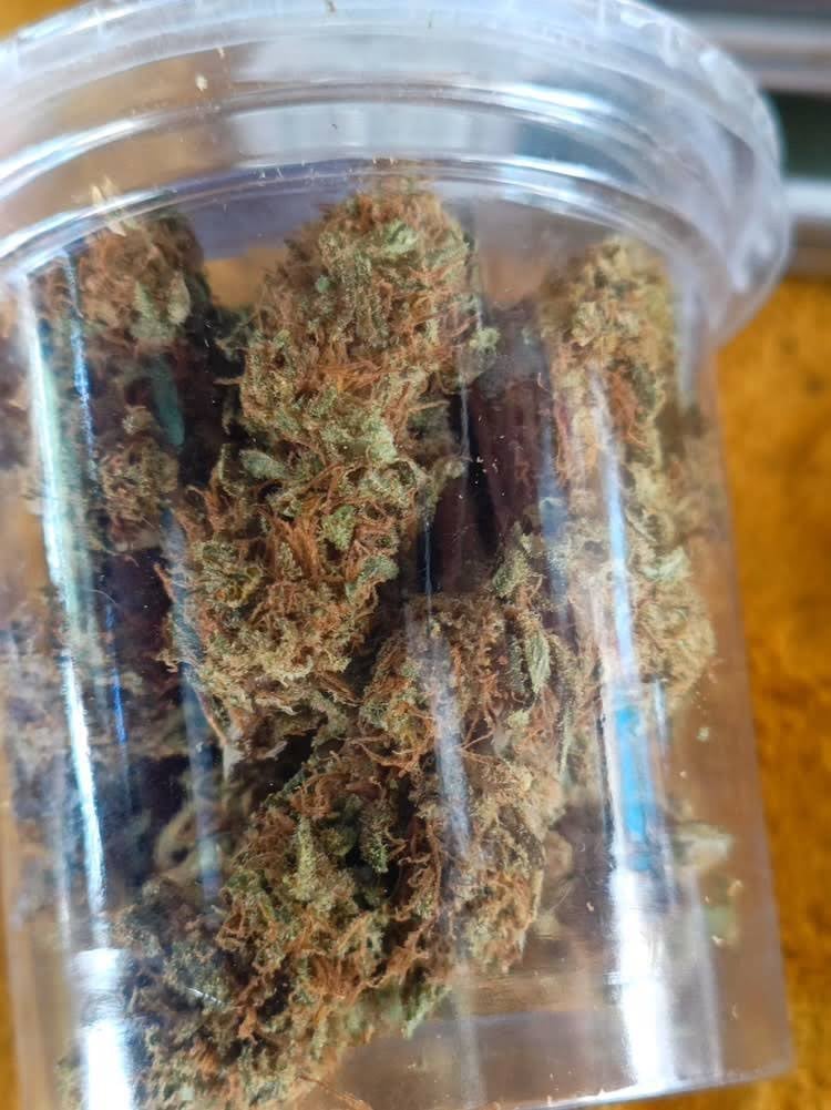 Santa420