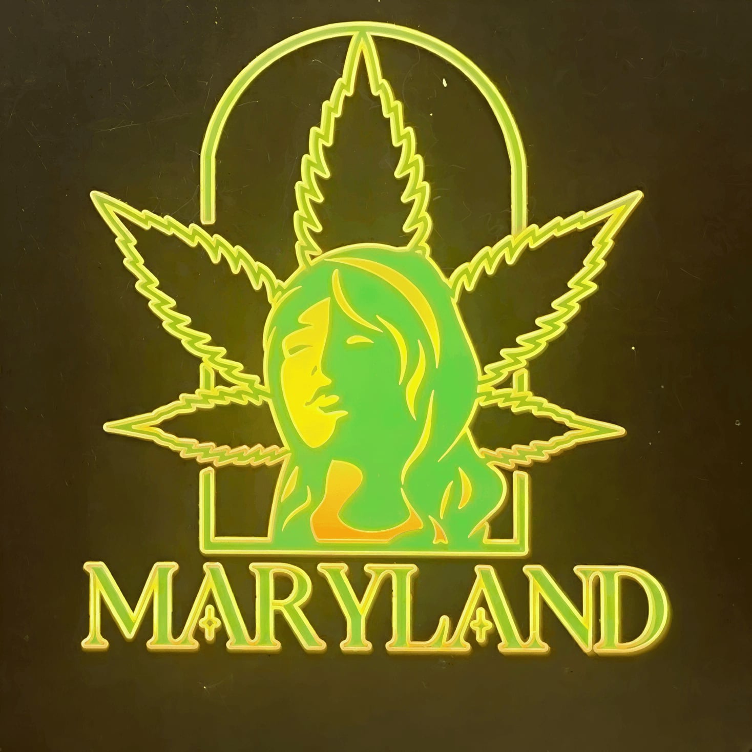 Social club Weed Maryland